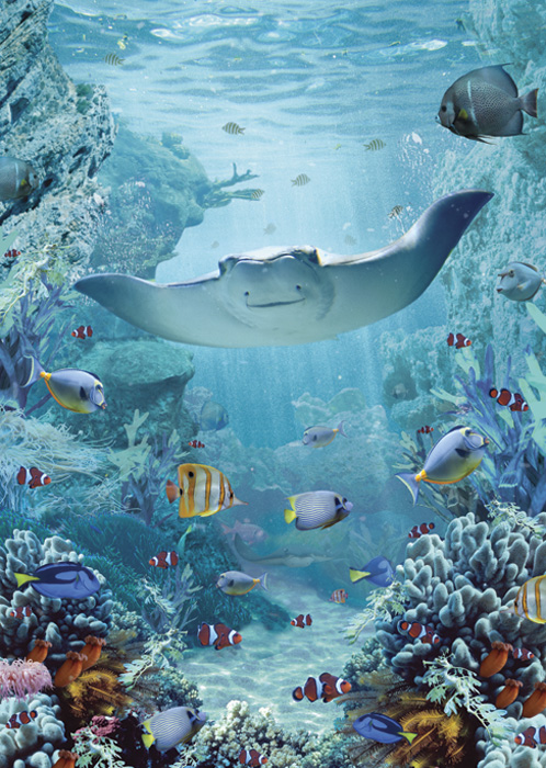 Manta Ray Blank Greeting Card by Max Hernn